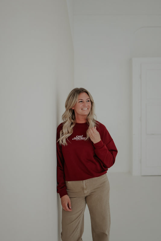 Sweatshirt Art.Nr. Q2580 (versch. Farben)