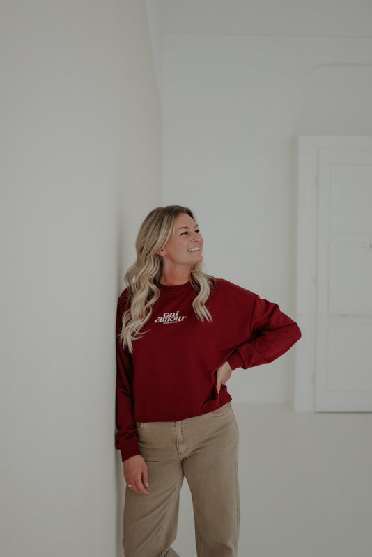 Sweatshirt Art.Nr. Q2580 (versch. Farben)