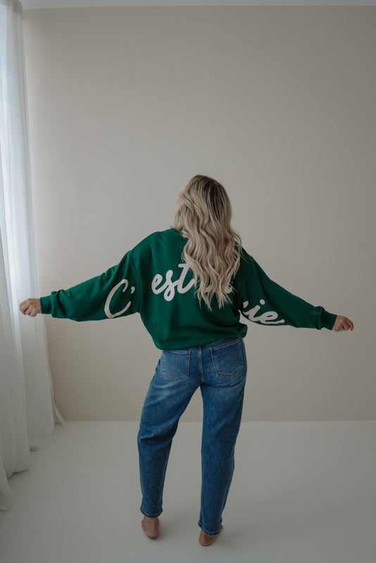 Sweatshirt Art.Nr. Q2495 (versch. Farben)