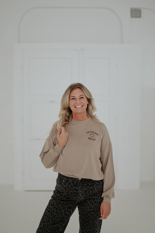 Sweatshirt Art.Nr. Q2568 (versch. Farben)