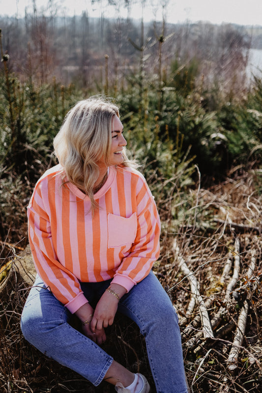 Pullover Art.Nr. 5813